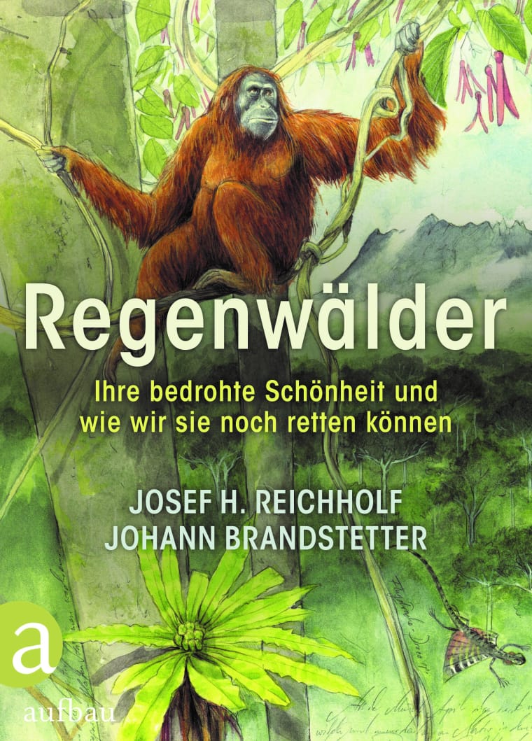 Das  Buchcover zeigt eine Illustration. Zu sehen ist ein roter Orang-Utan, der auf einem Ast sitzt. Im Hintergrund Berge. 