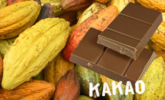 Kakaobohnen und Schokolade mit Schriftzug Kakao