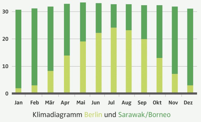 Ein Klimadiagramm dass Berlin (deutschland) und Sarawak (Borneo) vergleicht