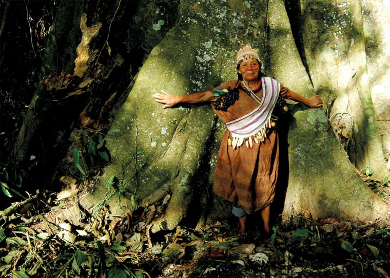 eine Indianerin steht mit ausgebreiteten Armen schützend vor einem Regenwald-Riesenbaum
