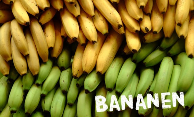 Bananen aus dem Regenwald