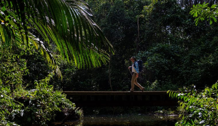 Willi Weitzel balanciert auf einem Baumstamm über einen Fluss - rundherum wächst dichter grüner Regenwald