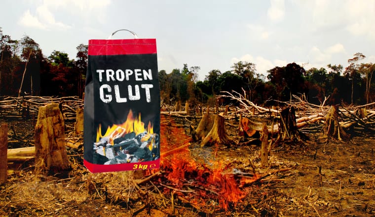 Sack Holzkohle mit Aufschrift Tropenglut und Banner Dein Klick für den Regenwald vor abgeholztem Wald