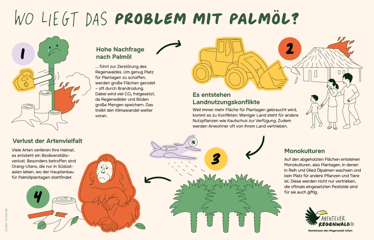 Nicht die Ölpalmen an sich sind das Problem, sondern der gigantische und weiter steigende Verbrauch dieses beliebten Rohstoffs. Infografik Folgen von Palmöl