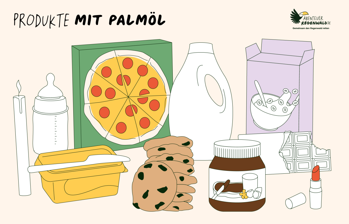 Diese Produkte enthalten in der Regel Palmöl: Lebensmittel wie Schokolade und Schokocreme, Margarine, Müsli, Fertigpizza, Fertigsuppen und Fertigsoßen, Kekse, Babynahrung. Palmöl findet sich auch in Kosmetik- und Reinigungsprodukten wie Rasierschaum, Waschmittel, Shampoo, Haarkur, Duschgel, Mascara und Lippenstift. Infografik Produkte die Palmöl enthalten