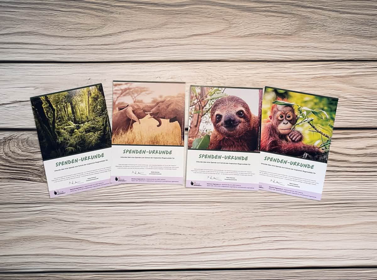 Regenwald-Spendenurkunde ab 25 Euro Spende