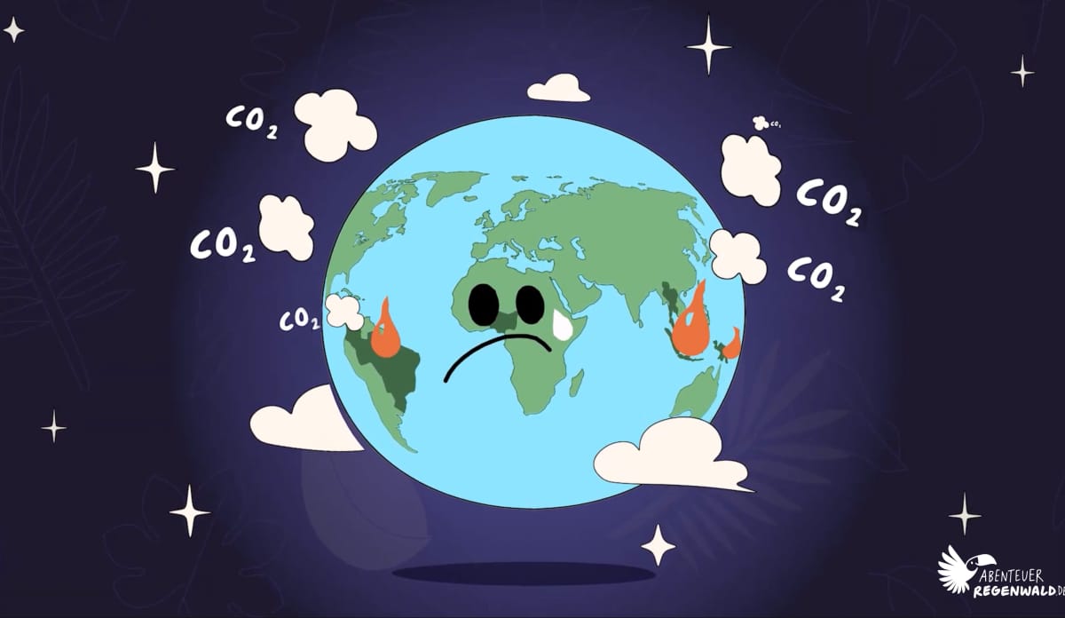 Der Anbau von Palmölplantagen hat großen Einfluss auf den Klimawandel. infografik-welt-regenwald-abholzung-klimawandel-co2