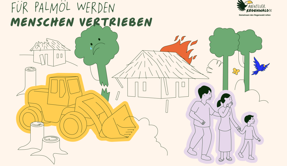 Häufig werden Menschen von ihrem Land vertrieben, um dort Palmölplantagen anzulegen. Damit werden ihre Menschenrechte verletzt. vertreibung-menschenrechte-palmoel-infografik