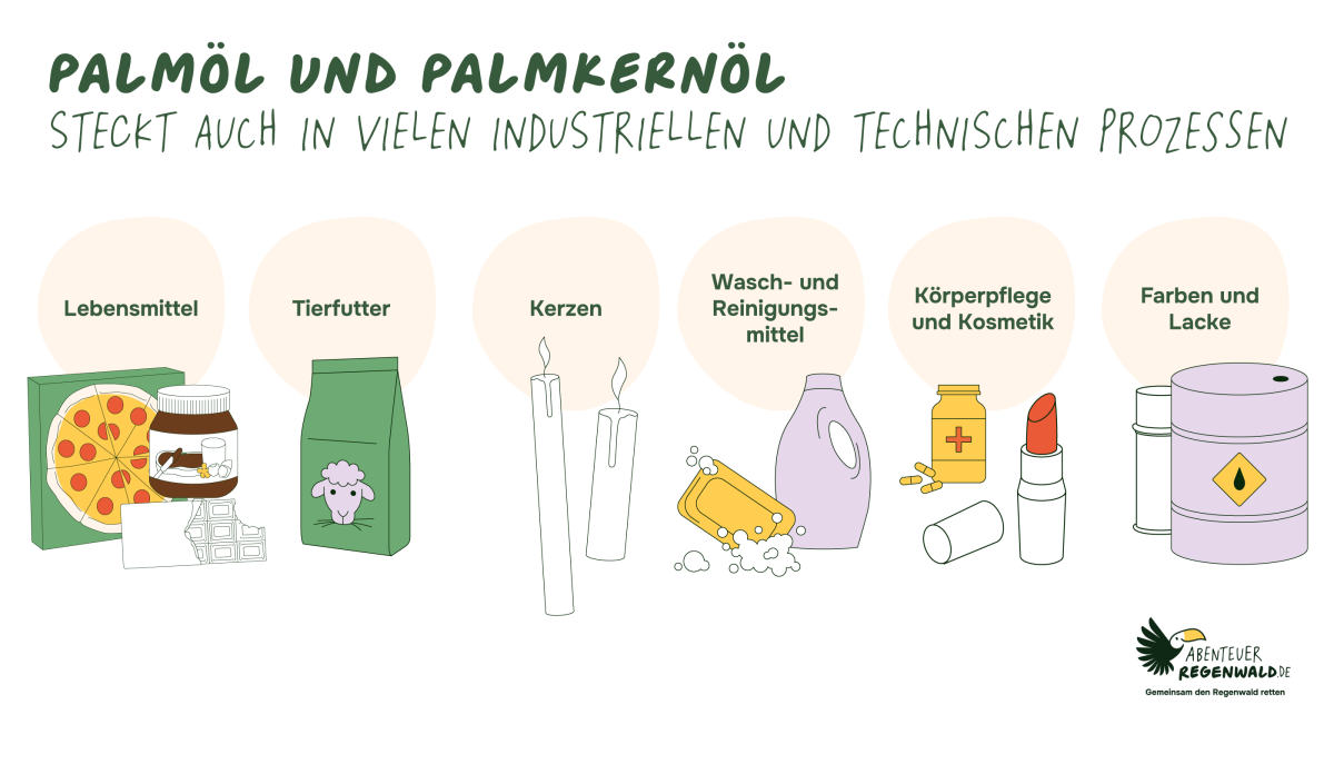 Palmöl ist aus unserem Alltag nicht mehr wegzudenken. Immerhin ist es seit 2023 in Deutschland verboten, Biodiesel aus frischem Palmöl herzustellen.