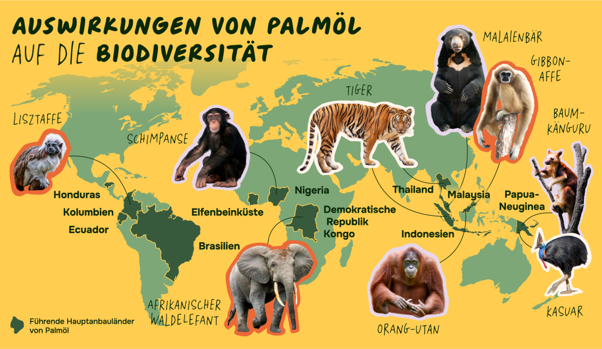 Für 193 Tierarten, die vom Aussterben bedroht oder gefährdet sind, ist Palmöl die größte Bedrohung . Die Infografik zeigt eine Weltkarte, auf der die Hauptanbauländer von Palmöl markiert sind. Dazu sind die vom Aussterben bedrohten Tiere aus der jeweiligen Region zugeordnet.
