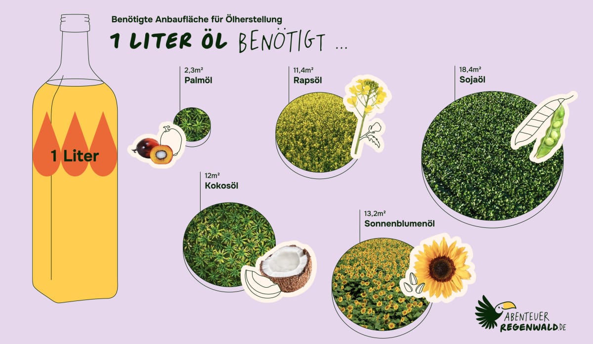 Ölpalmen sind sehr ertragreich: Auf gleicher Fläche lässt sich viel mehr Öl produzieren als mit anderen Ölpflanzen wie Soja, Kokospalmen, Sonnenblumen und Raps. Infografik benötigte Anbaufläche für die Herstellung von Palmöl, Rapsöl, Sojaöl, Kokosöl, Sonnenblumenöl