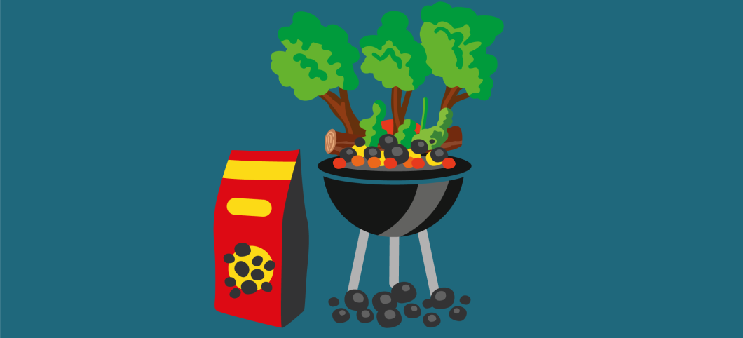 Illustration: Regenwaldbäume brennen auf einem Holzkohle-Grill, daneben steht eine Packung Grillkohle