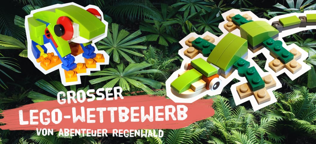 Ein Regenwaldfrosch und ein Leguan aus Lego für den Abenteuer Regenwald Wettbewerb