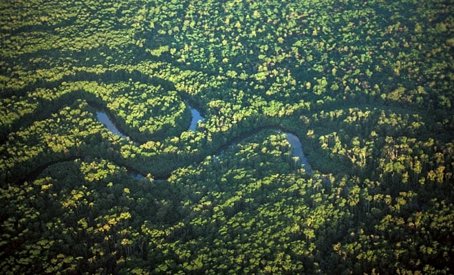 Grunes Paradies Regenwald Abenteuer Regenwald
