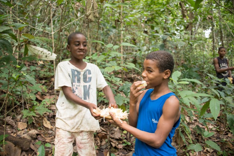 Daniel (rechts) und Jonatã probieren eine Jackfruit 