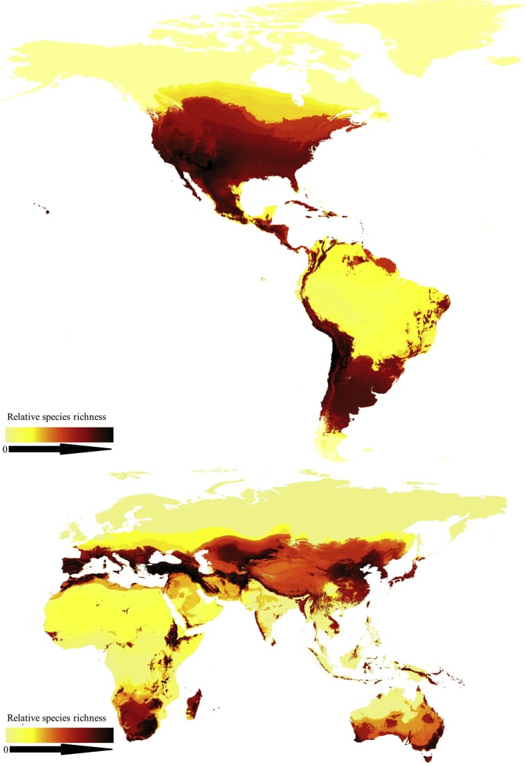 Karte mit allen Kontinenten mit farblich markierten Flächen von hellgelb bis schwarzrot. Sie zeigt das unterschiedliche Bienenaufkommen
