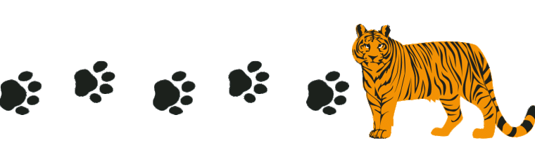 Regenwald Tierspuren Abenteuer Regenwald