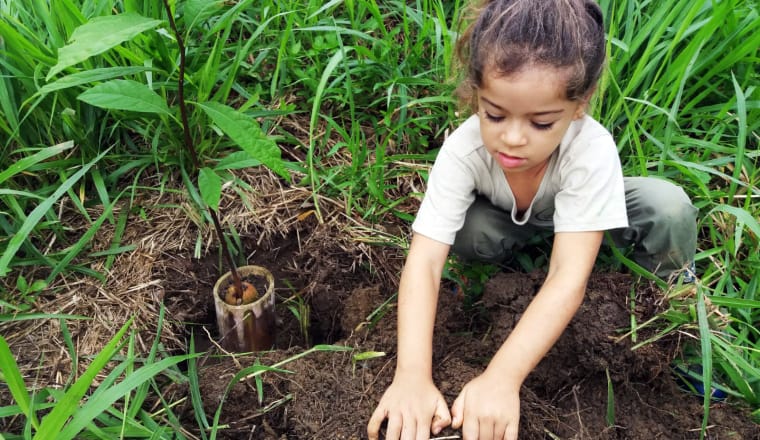 Ein kleines Mädchen kniet auf dem Boden und setzt Bambustöpfchen mit junger Avocado-Pflanze in die Erde