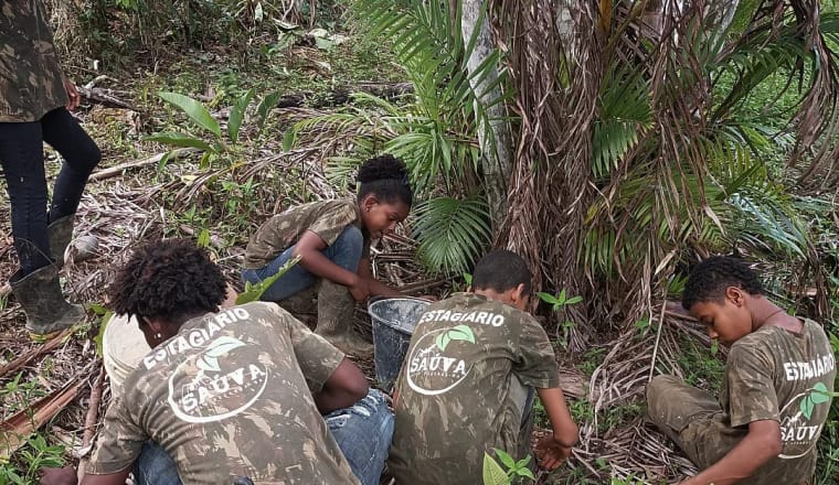 4 Kinder und Jugendliche hocken auf dem Waldboden unter einer Palme und sammeln Baumsamen in einen Eimer
