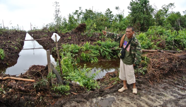 Ein mann steht vor abgeholztem Torfwald, die Fläche wird von einem Bewässerungsgraben durchschnitten
