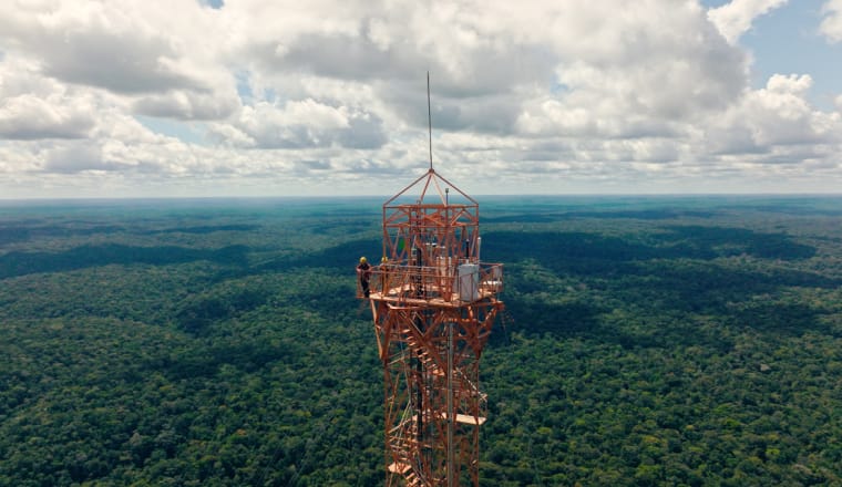 ein mehr als 300 Meter hoher Stahlturm ragt über das Kronendach des Regenwaldes