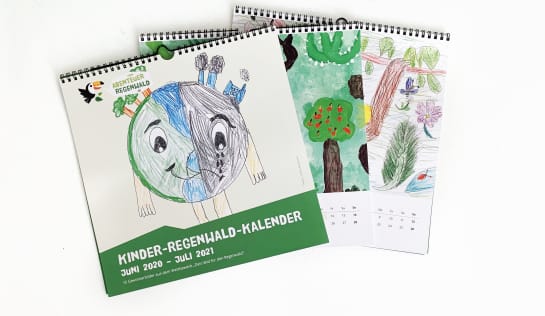 Ansicht der Kinder Regenwald-Kalender aus dem Wettbewerb Dein Bild rüttelt die Politiker wach
