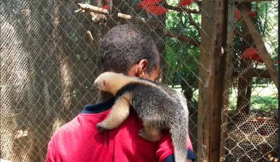 Daniel im Zoo mit dem geretteten verwaisen Ameisenbären-Baby