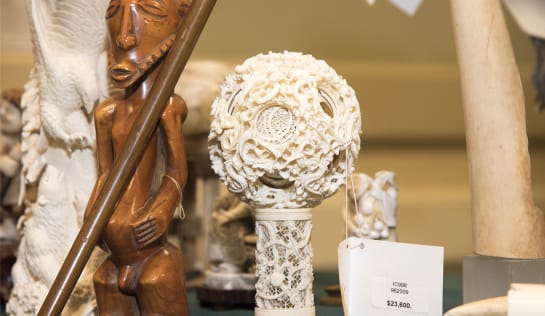 Kunstwerke aus gewildertem Elfenbein – in den USA beschlagnahmt Geschnitzte Figuren aus Elfenbein