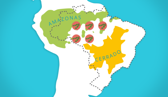 Südamerikakarte mit Amazonien und der Cerrado