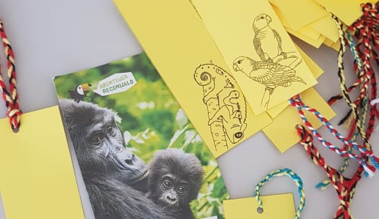 Flyer und Lesezeichen für das Regenwald-Projekt der 10. Klasse am Gymnasium Biondekgasse Baden bei Wien