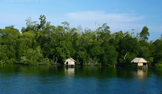 Mangrovenwald im Wakatobi-Inselreich Vorn tiefblaues Meer, dahinter der Saum eines grünen Mangrovenwaldes, im Wasser stehen zwei Holzhütten auf Stelzen