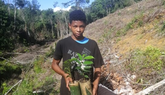 Carlos Henrique macht ein Praktikum auf der Fazenda, zwei junge Bäume sind zum Auspflanzen bereit