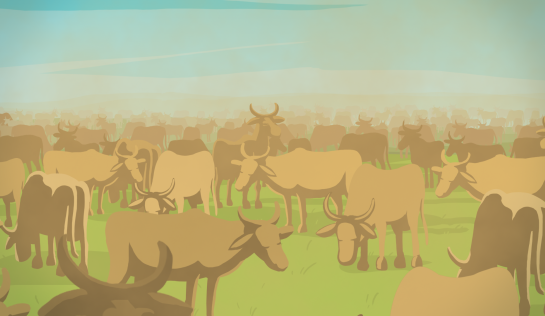 Für immer größere Rinderweiden und Sojafelder Rinderweide mit Methan-ausstossenden Rindern