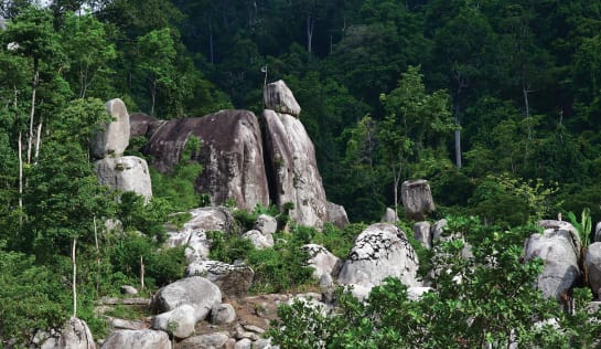 Hohe  und flache Felsen im Regenwald, Lebensraum des Bogenfinger-Geckos