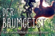 Cover der Geschichte Der Baumgeist.