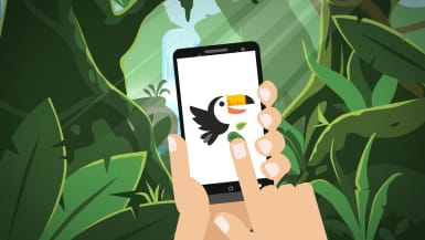 Illustration einer hand, die vor grünen Pflanzen ein Handy hält und mit einem Finger auf den Tukan auf dem Display zeigt. 