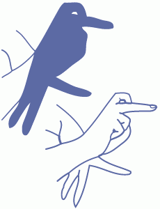 Regenwald Schattenspiele Abenteuer Regenwald