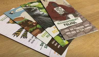 flyer-regenwald-2020