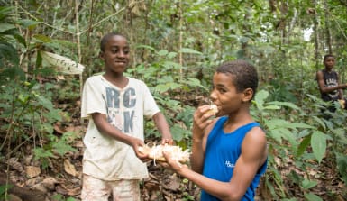 Daniel (rechts) und Jonatã probieren eine Jackfruit 