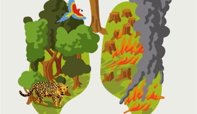 Illustration einer Lunge mit Regenwald der brennt