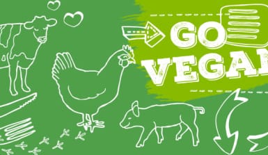 illustration_go_vegan Illustration mit verschiedenen Nutztieren und der Schrift Go vegan