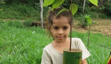 Nayani bringt den Avocado-Setzling zum Auspflanzen