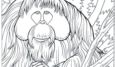 malvorlage-orang-utan Schwarz-weiße Strichzeichnung eines Orang-Utans im Regenwald als Malvorlage