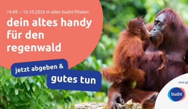 dein alrtes Handy für den Regenwald und Orang Utan Mutter mit Baby
