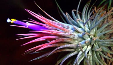 © flickr/dominikhofer (CC BY-NC-SA 2.0) © flickr/dominikhofer (CC BY-NC-SA 2.0)