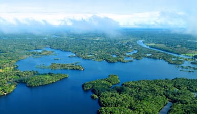 Der Amazonas-Flusslauf von oben