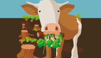 kuh-frisst-regenwald-fleisch-soja Eine illustrierte Kuh frisst einen Regenwaldbaum als Metapher dafür, dass für Fleisch Regenwald gerodet wird