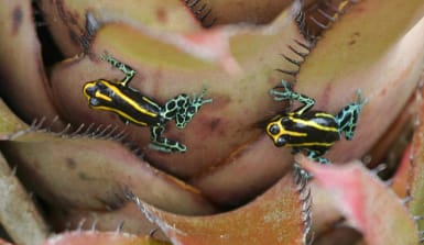 © flickr/edgeplot (CC BY-NC-SA 2.0) © flickr/edgeplot (CC BY-NC-SA 2.0)