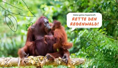 Eine Orang-Utan-Mutter kuschelt mit ihrem Baby im Regenwald