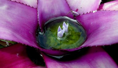 © flickr/edgeplot (CC BY-NC-SA 2.0) © flickr/edgeplot (CC BY-NC-SA 2.0)